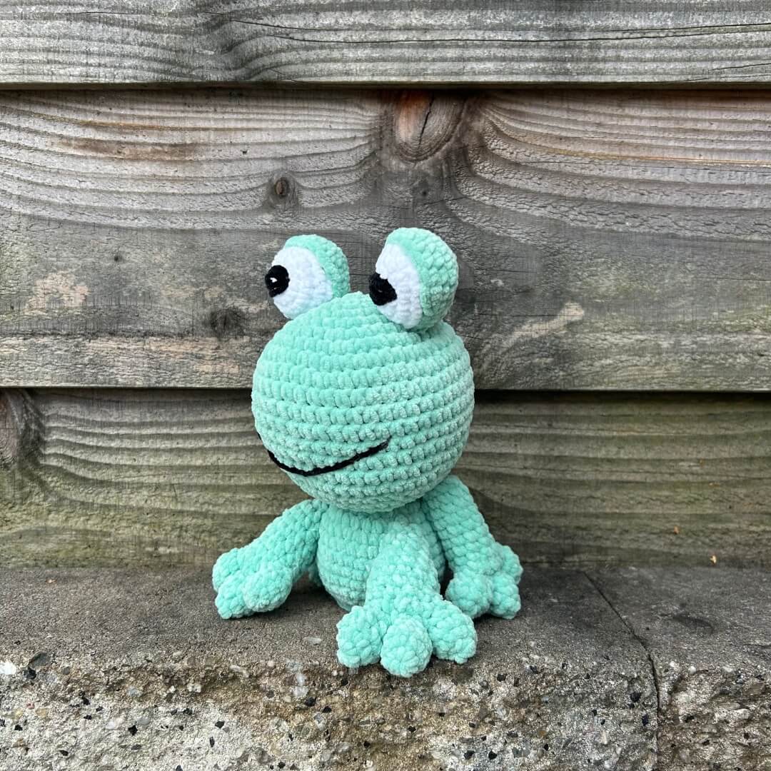 Freddy Frog de grappige knuffel te koop bij De Garengarage schuin voor de camera
