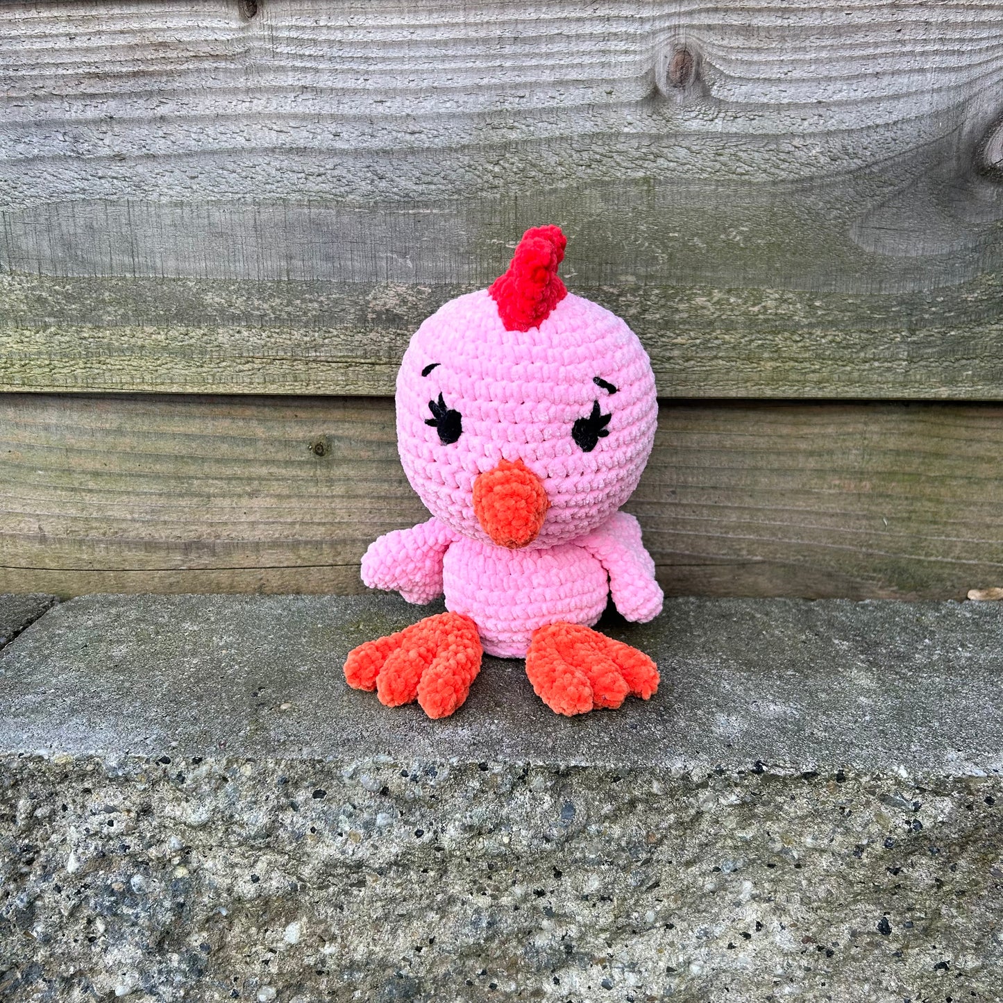 Chicky de Kip